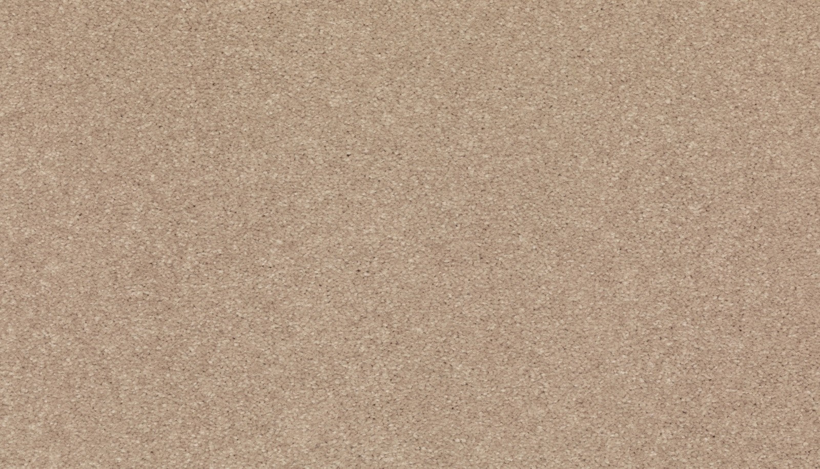 Mohawk Quality Feeling in Nomad, Carpet product detail