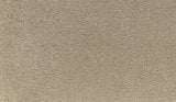 Mohawk Lakewood Drive I Carpet
