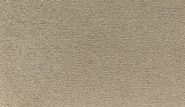 Mohawk Lakewood Drive I Carpet