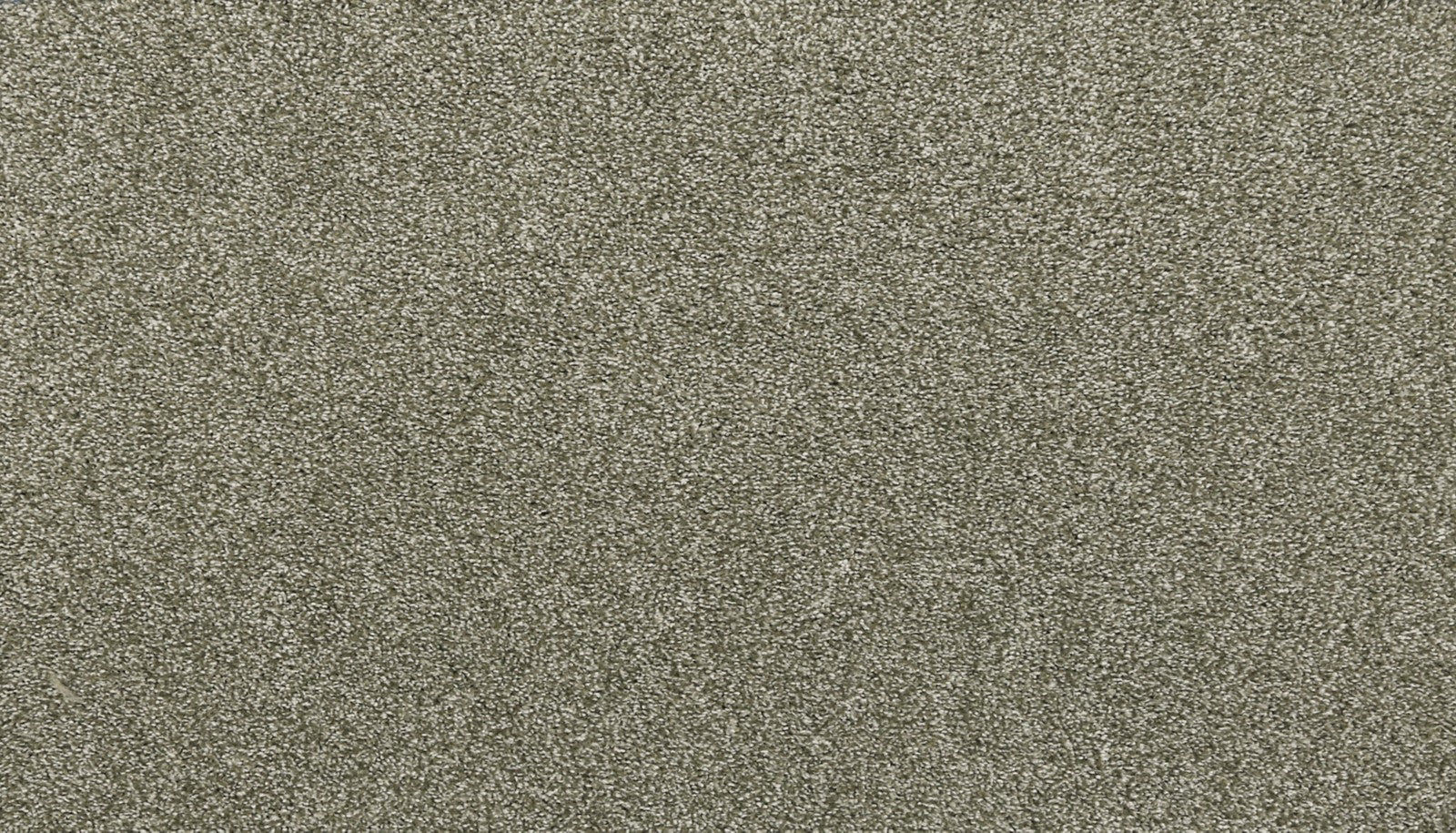Mohawk Luxuriant Life in Sage, Carpet product detail