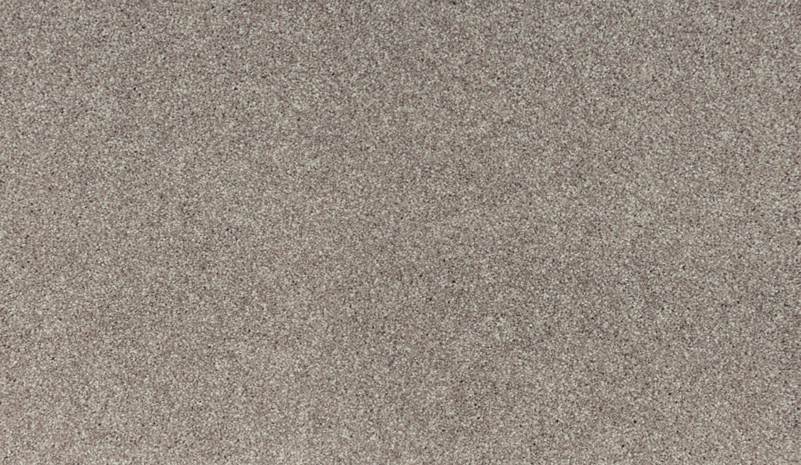 Mohawk Luxuriant Touch II in Chalet, Carpet product detail
