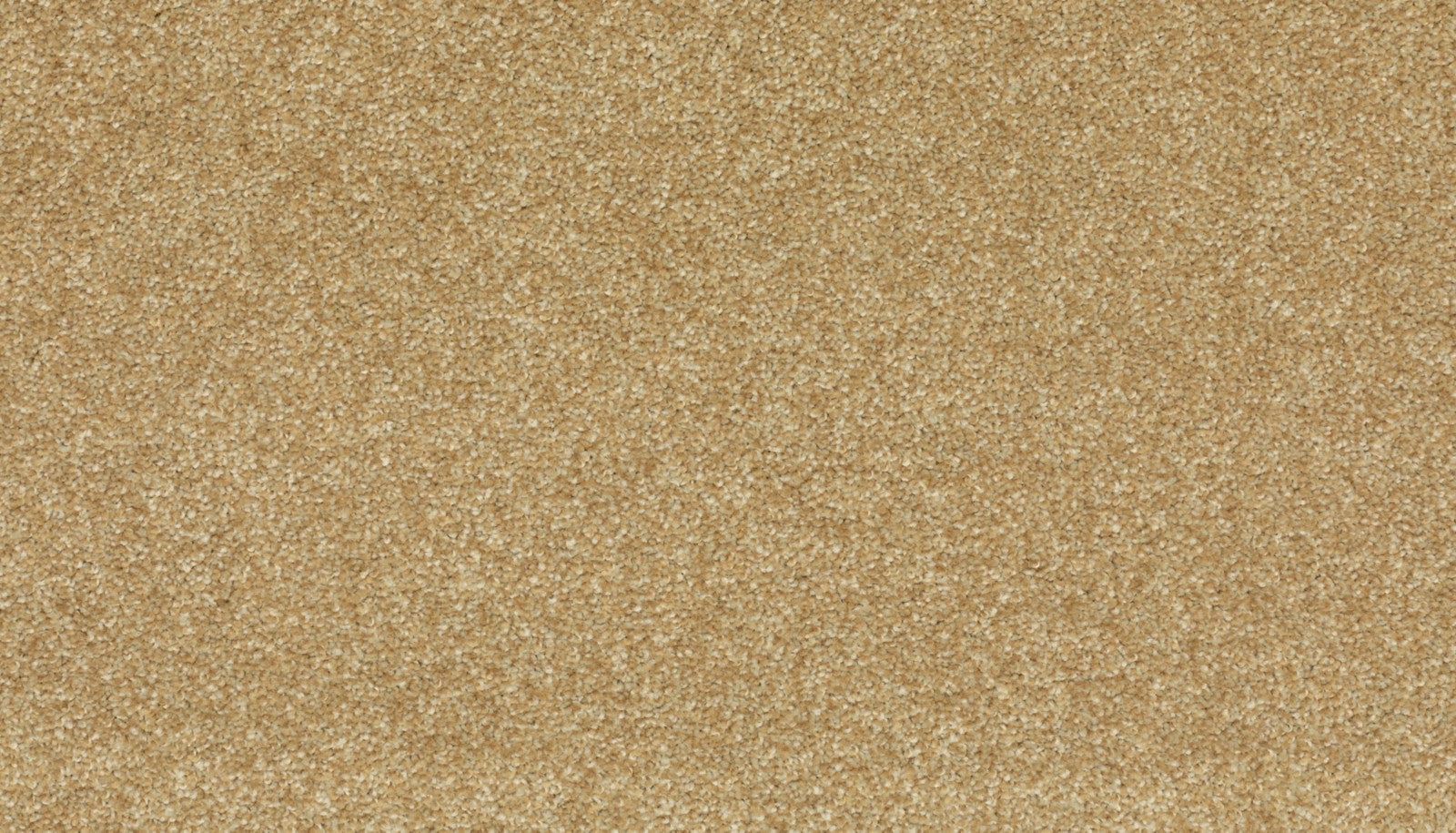 Mohawk Quality Life in Honey Cream, Carpet product detail
