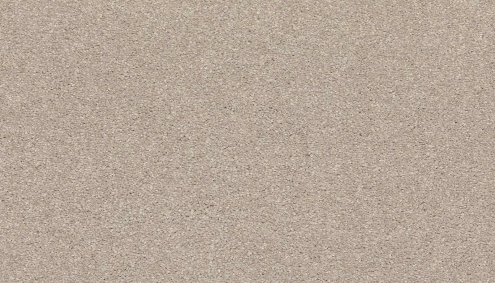 Mohawk Lakewood Drive II in Ontario, Carpet product detail