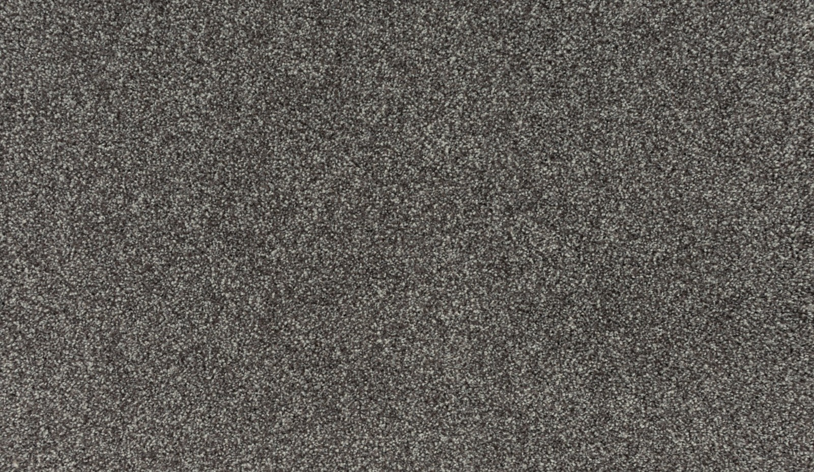 Mohawk Quality Living II in Lite Espresso, Carpet product detail