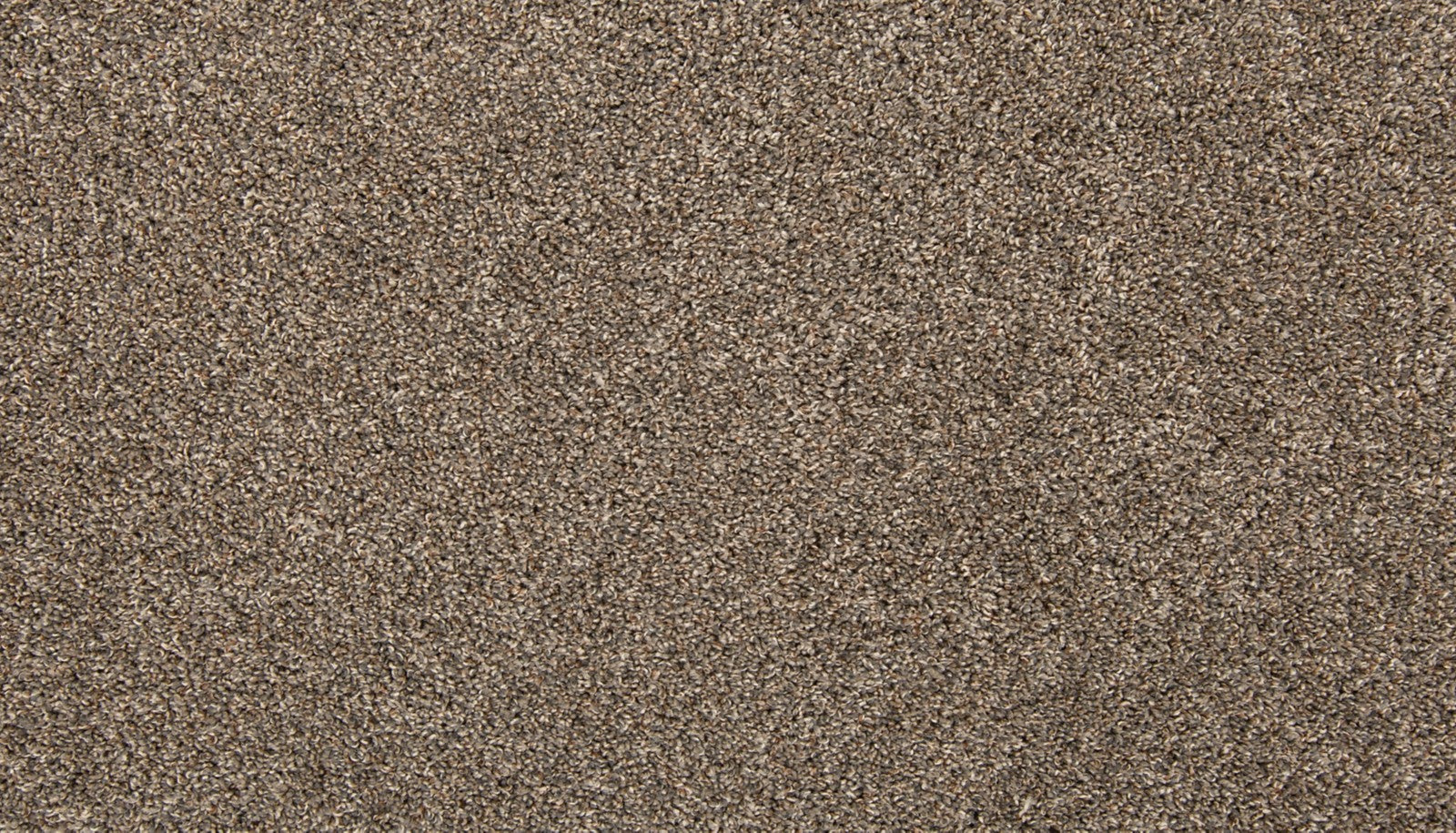 Mohawk Color Classics I in Gravity, Carpet product detail
