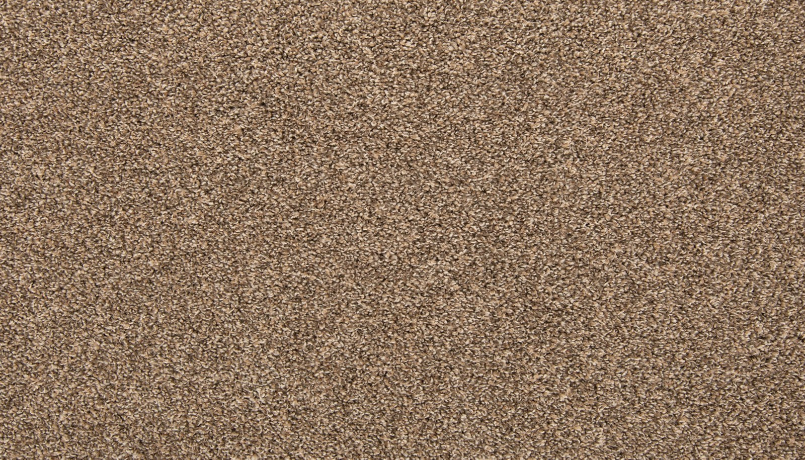 Mohawk Color Classics II in Mystic Wood, Carpet product detail