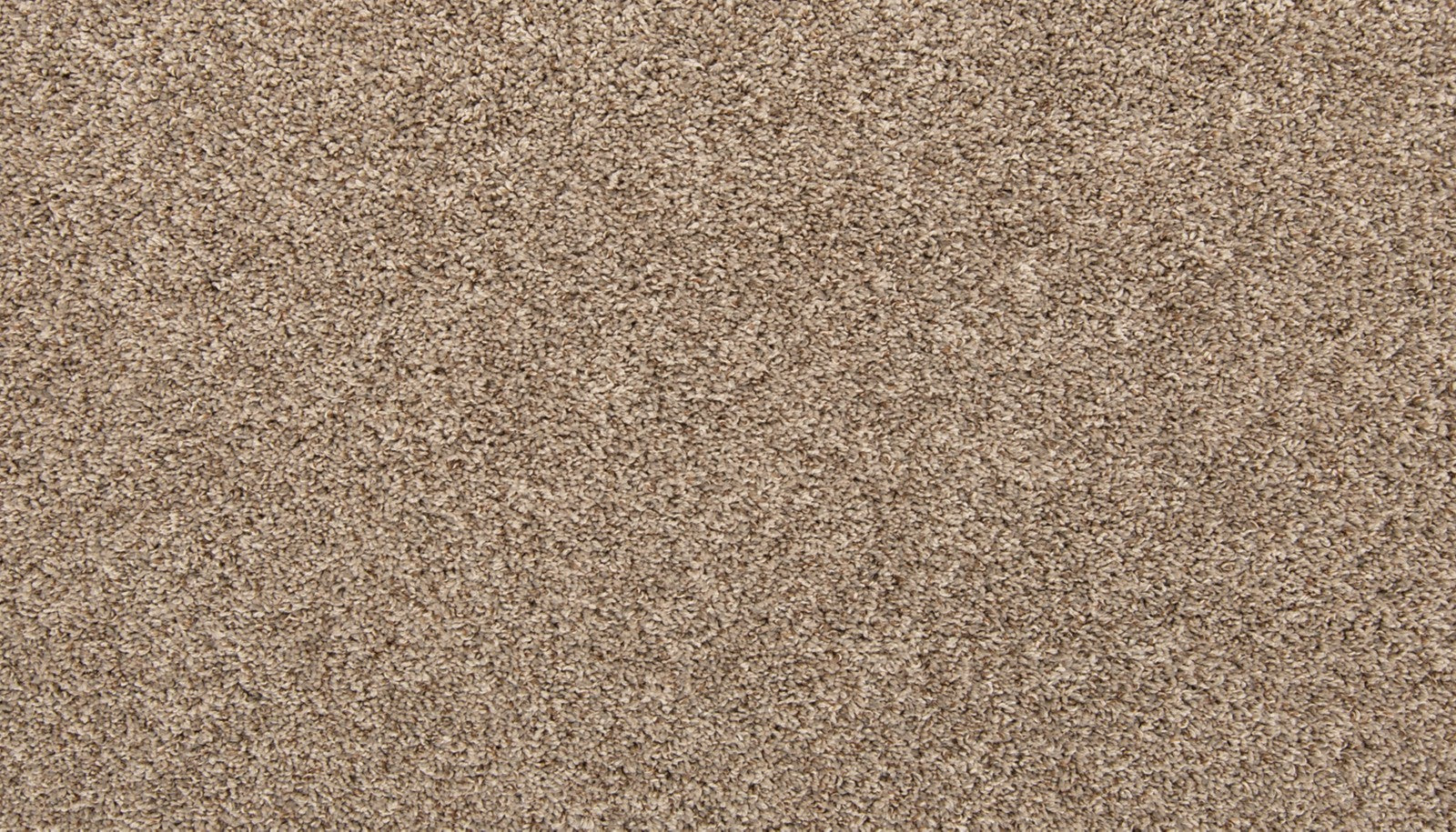 Mohawk Color Classics II in Boulevard, Carpet product detail