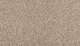 Mohawk Color Classics II Carpet