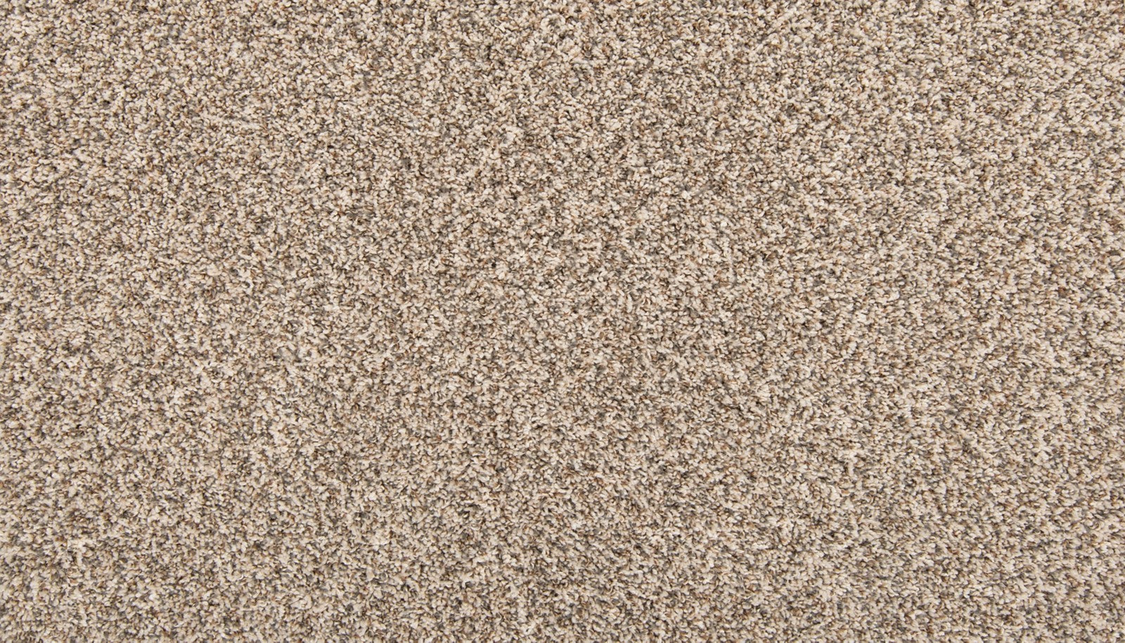 Mohawk Color Classics II in Melody, Carpet product detail