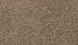 Mohawk Color Classics II Carpet