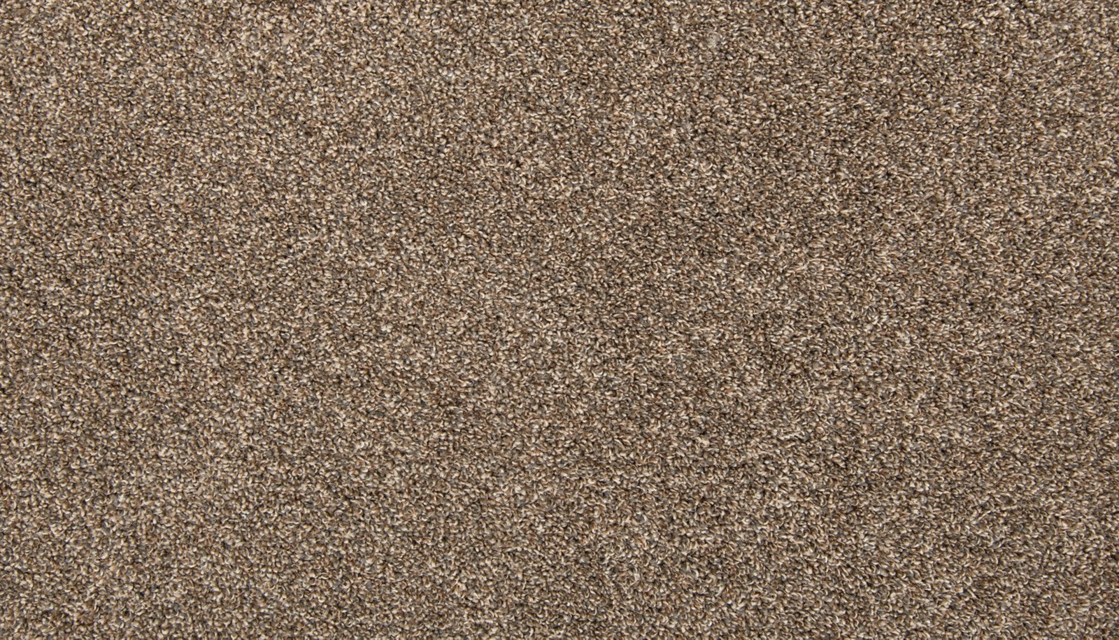 Mohawk Color Classics II in Scotch Mist, Carpet product detail