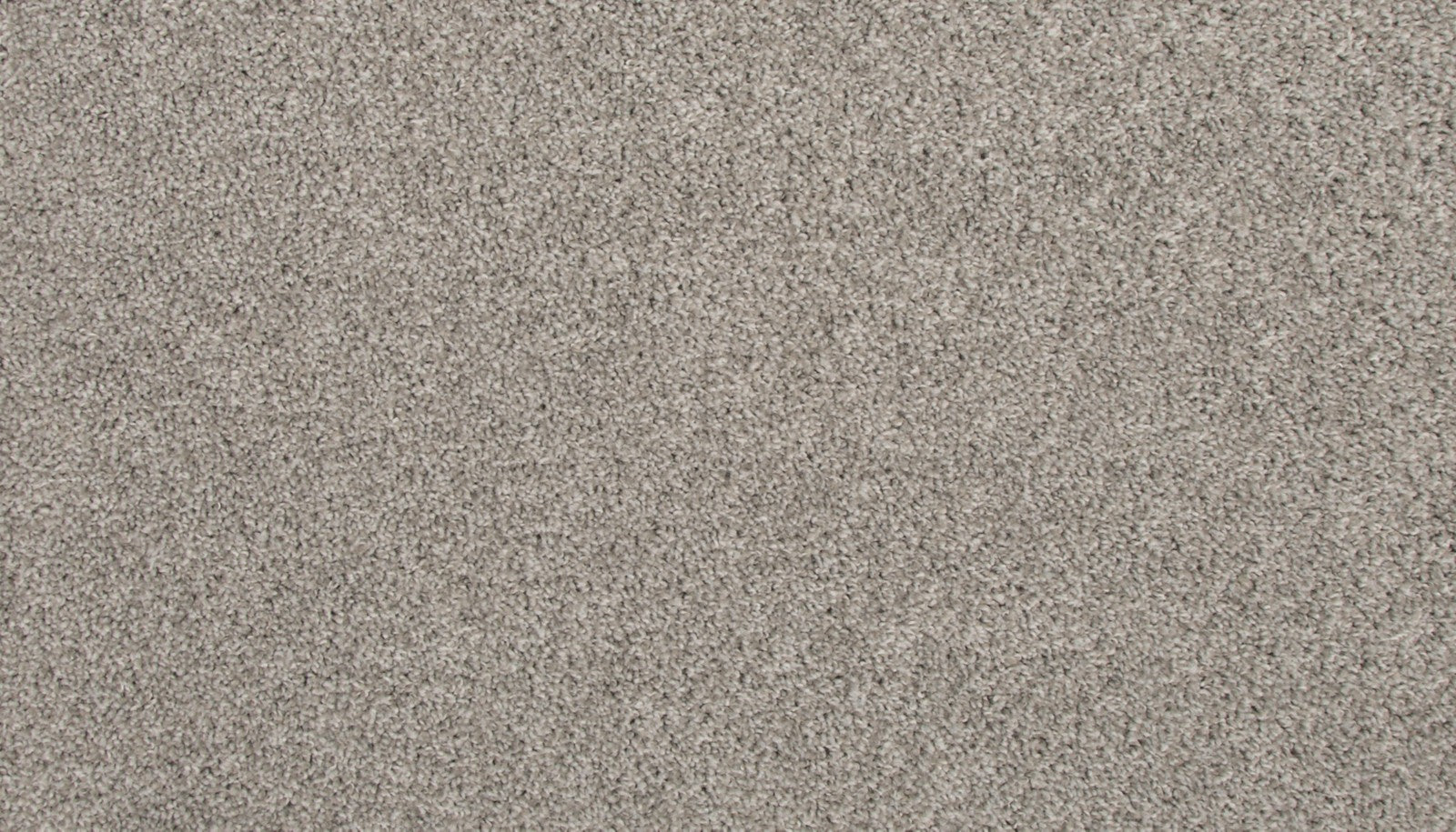 Mohawk Revive in Tarpley, Carpet product detail