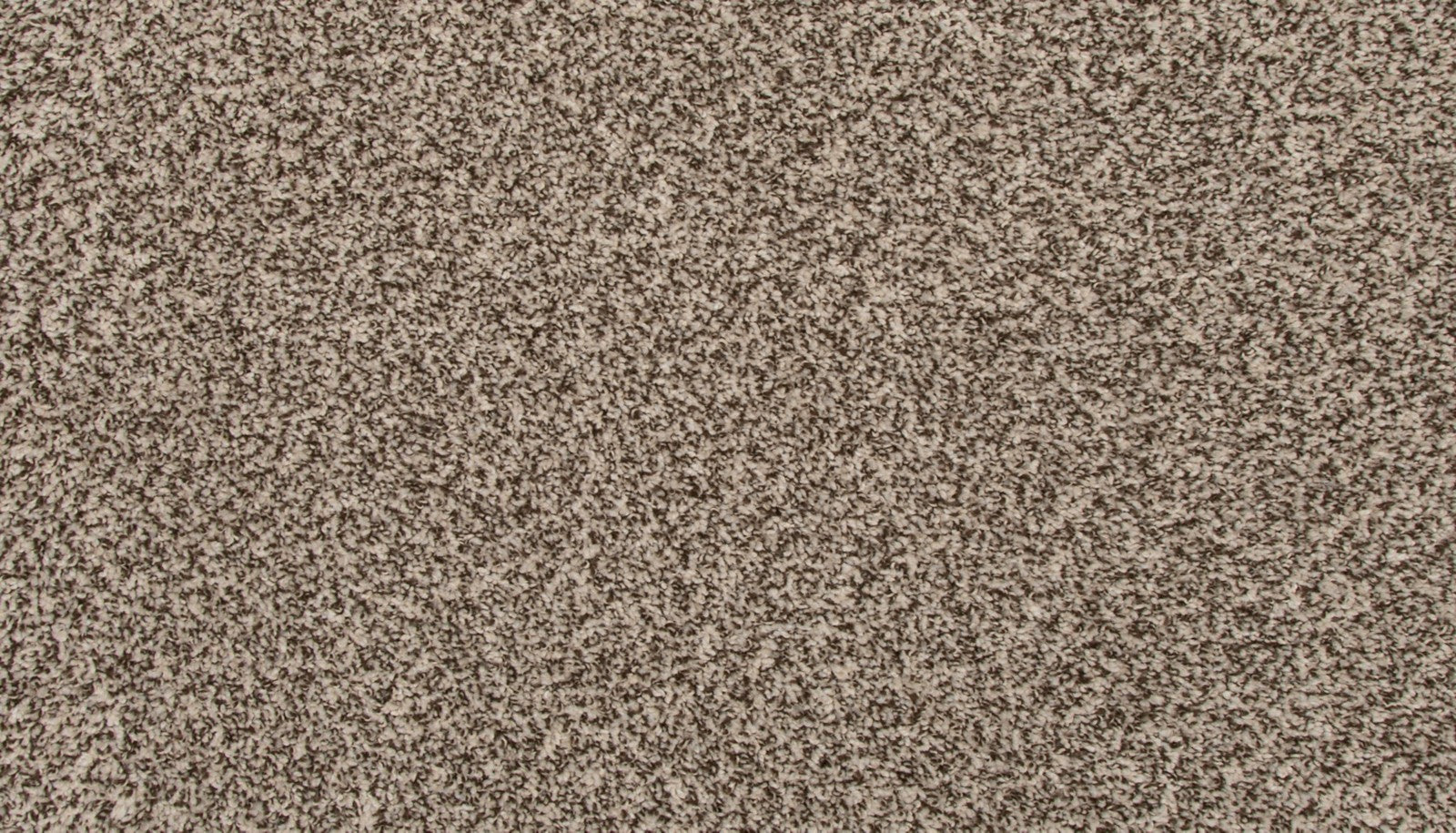 Mohawk Revive in Quiet Light, Carpet product detail