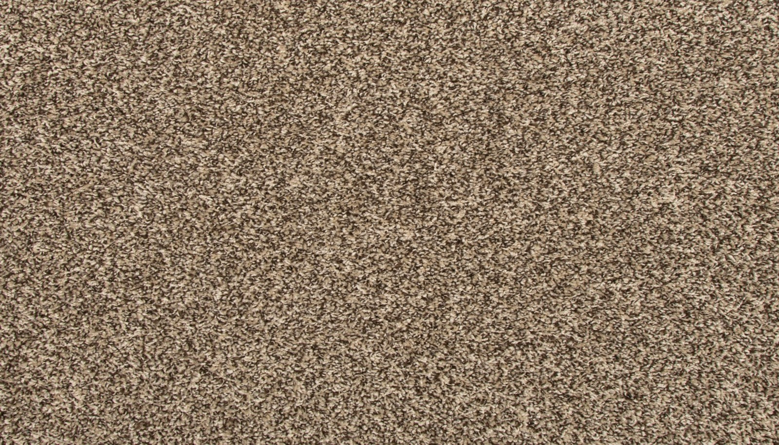 Mohawk Revive in Nomad, Carpet product detail