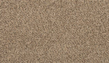Mohawk Revive Carpet