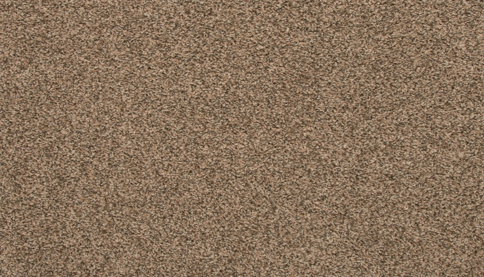Mohawk Revive in Flax Seed, Carpet product detail