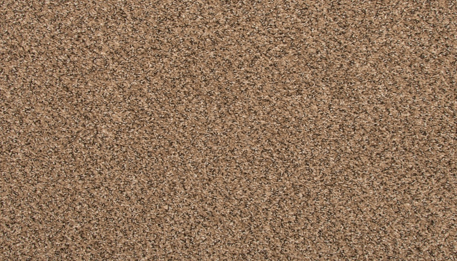 Mohawk Revive in Pretzel Twist, Carpet product detail