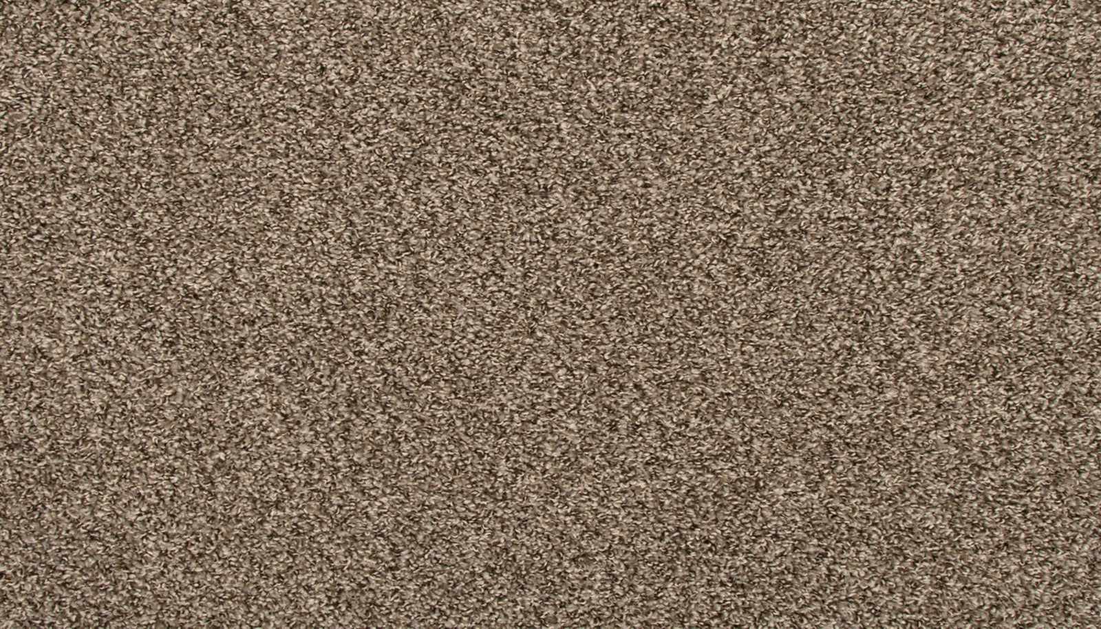 Mohawk Revive in Shimmer Ash, Carpet product detail