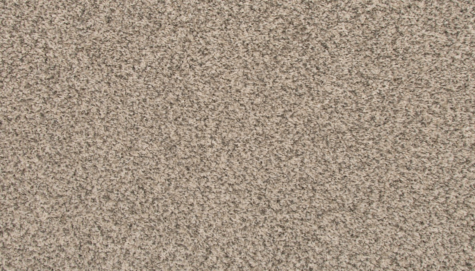 Mohawk Revive in Silver Dollar, Carpet product detail