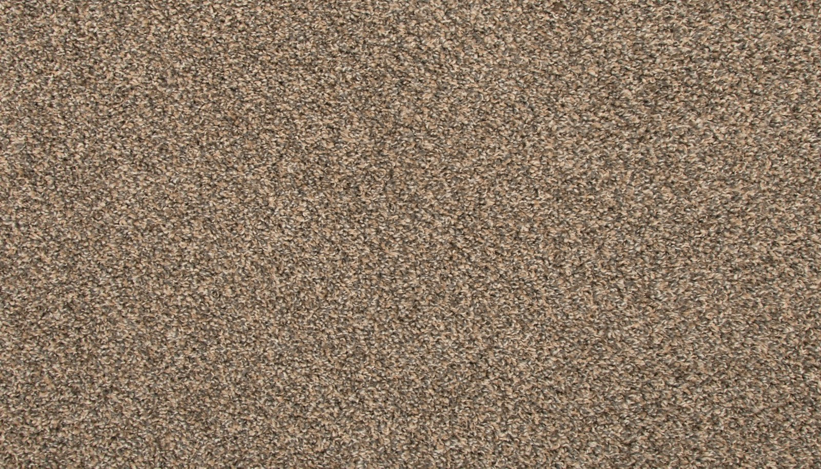 Mohawk Revive in Flannel, Carpet product detail