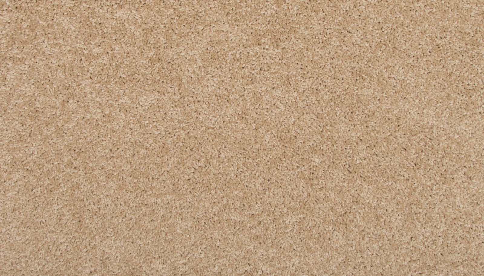 Mohawk Revive in Sugar Cookie, Carpet product detail
