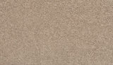Mohawk Revive Carpet