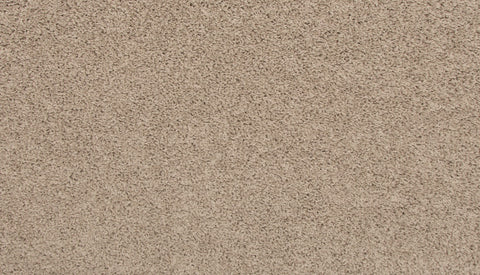 Mohawk Revive Carpet