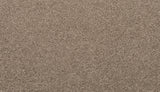 Mohawk Revive Carpet