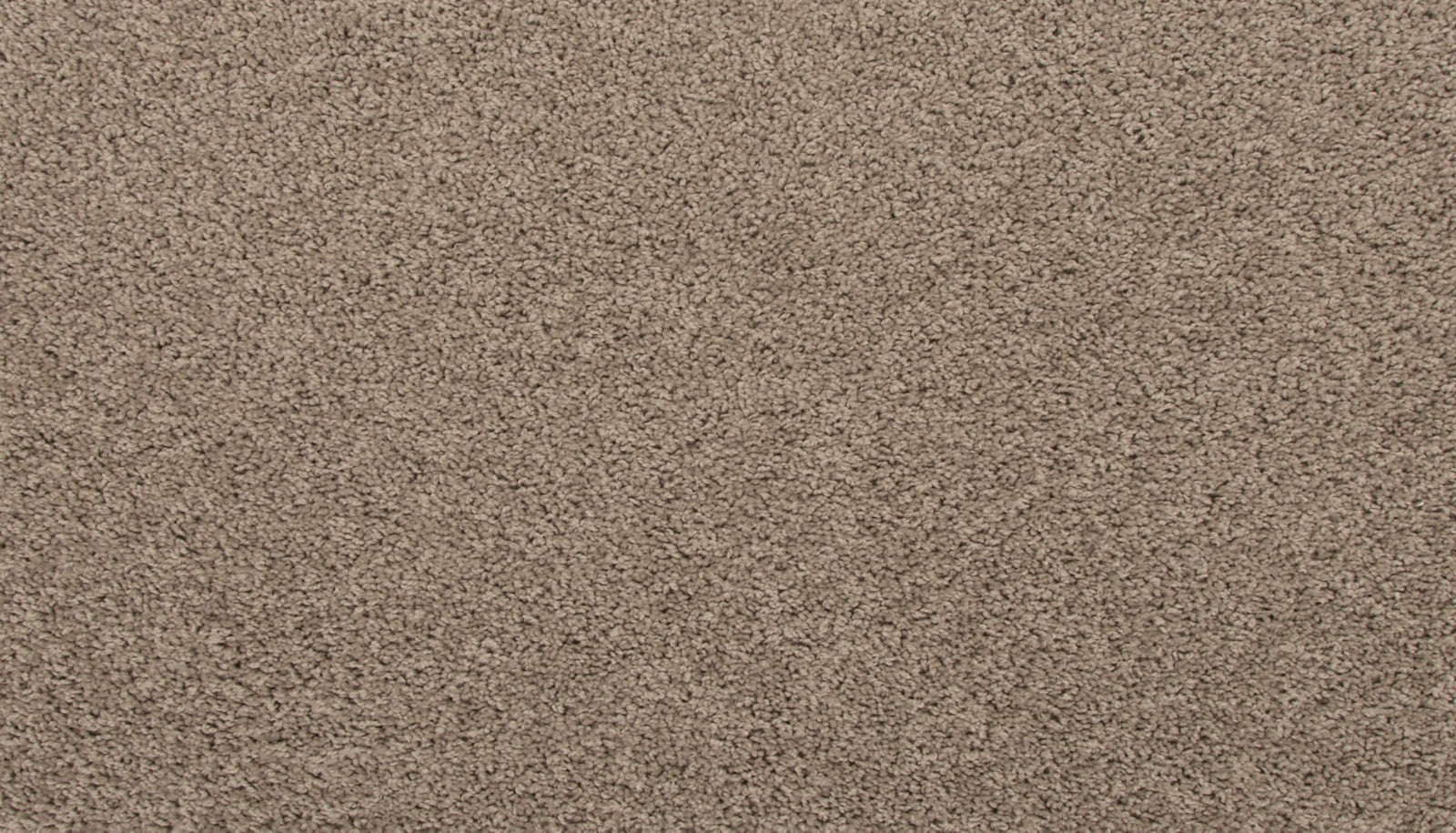 Mohawk Revive in Dock, Carpet product detail