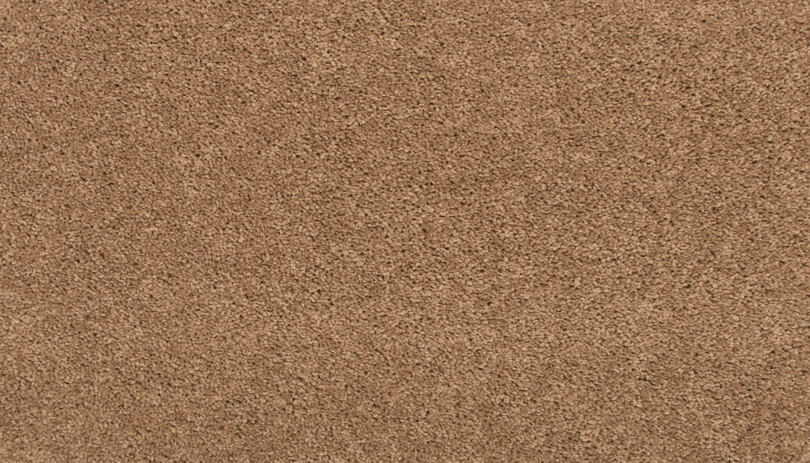 Mohawk Revive in Fowler, Carpet product detail