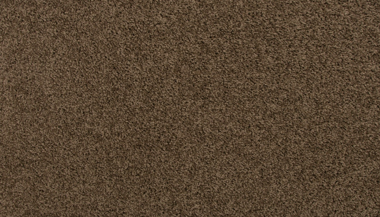 Mohawk Revive in Husk, Carpet product detail
