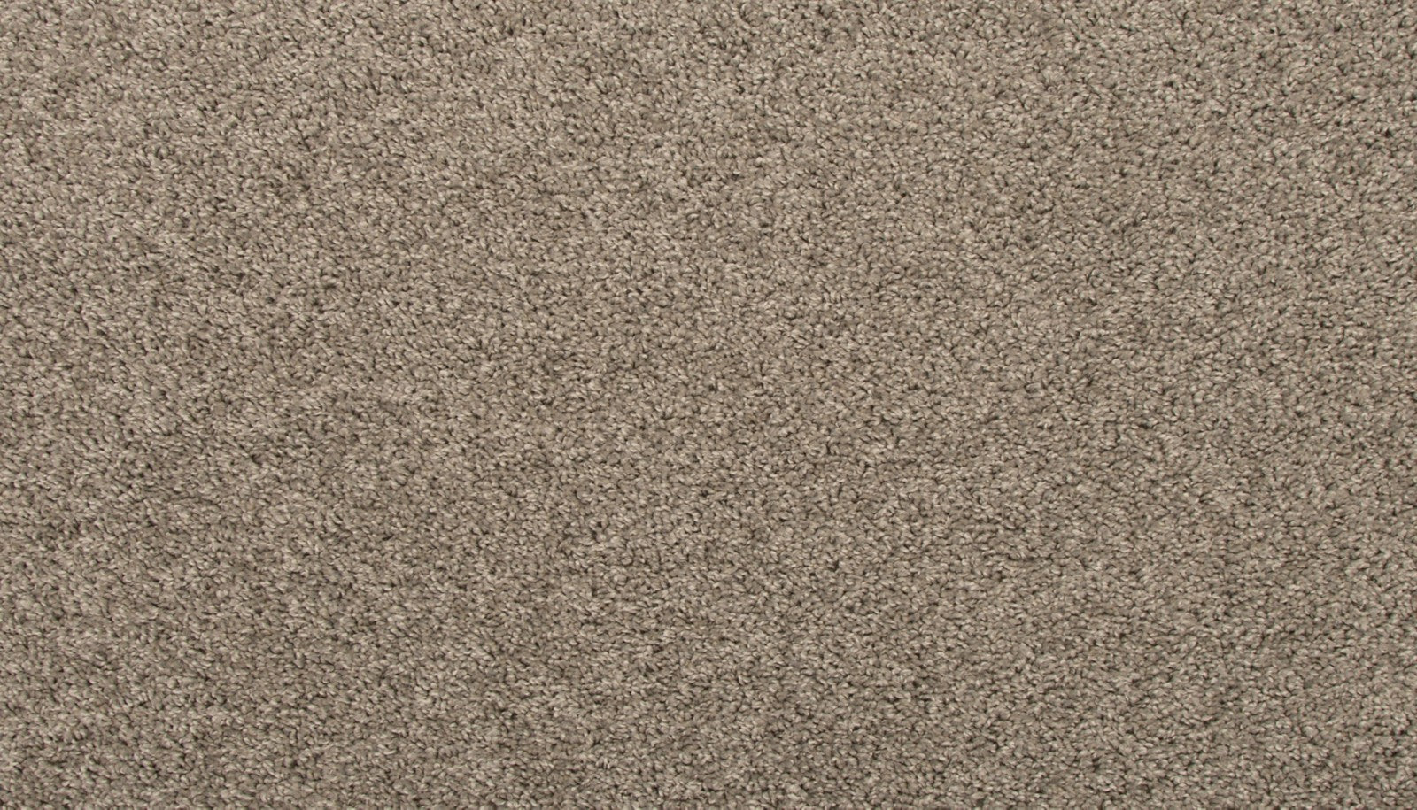Mohawk Revive in Sound Grey, Carpet product detail