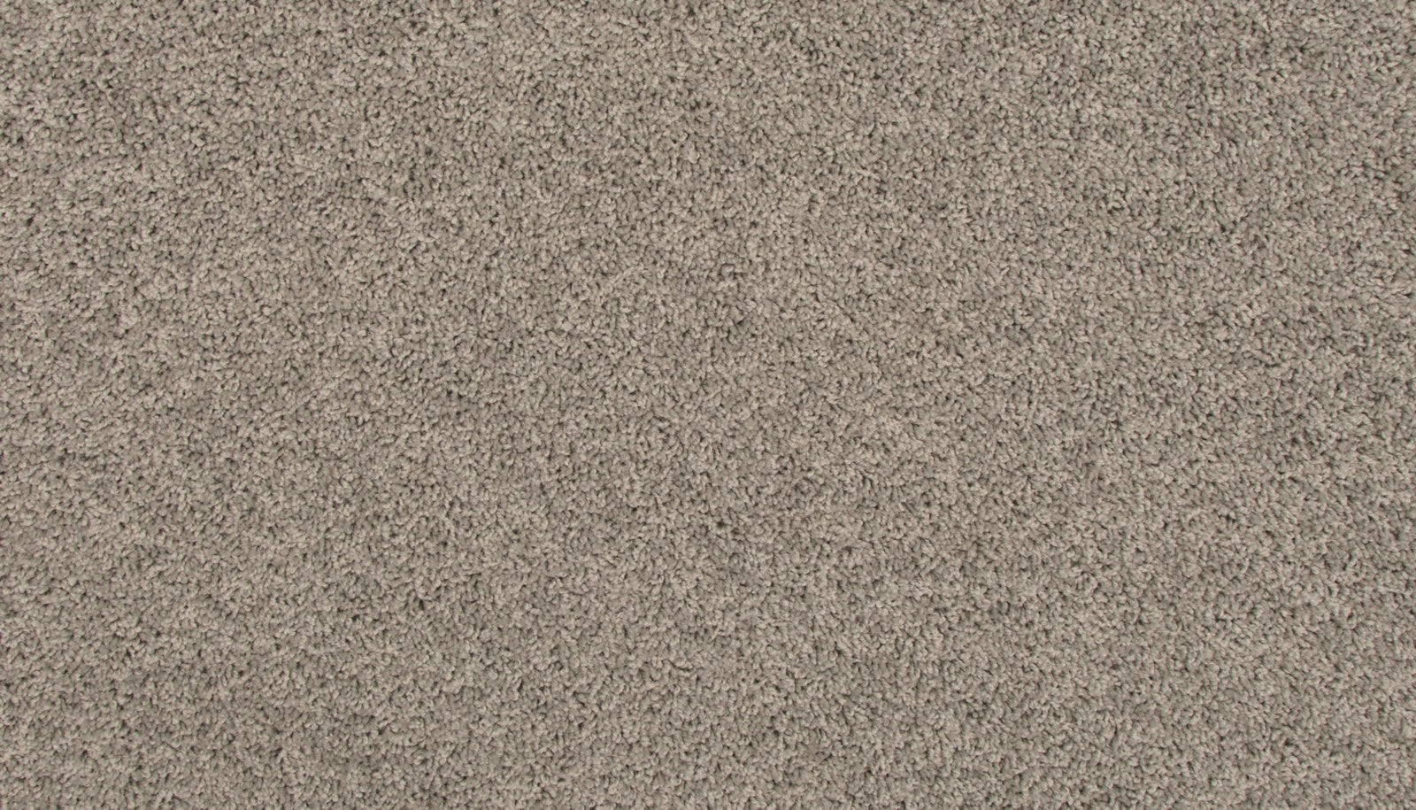 Mohawk Revive in Winter Ash, Carpet product detail