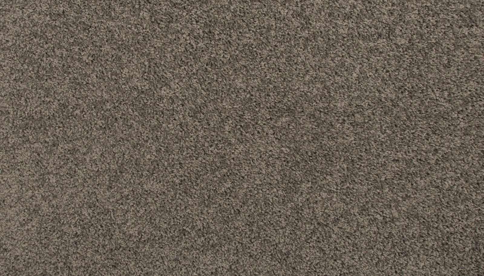 Mohawk Revive in Pewter, Carpet product detail