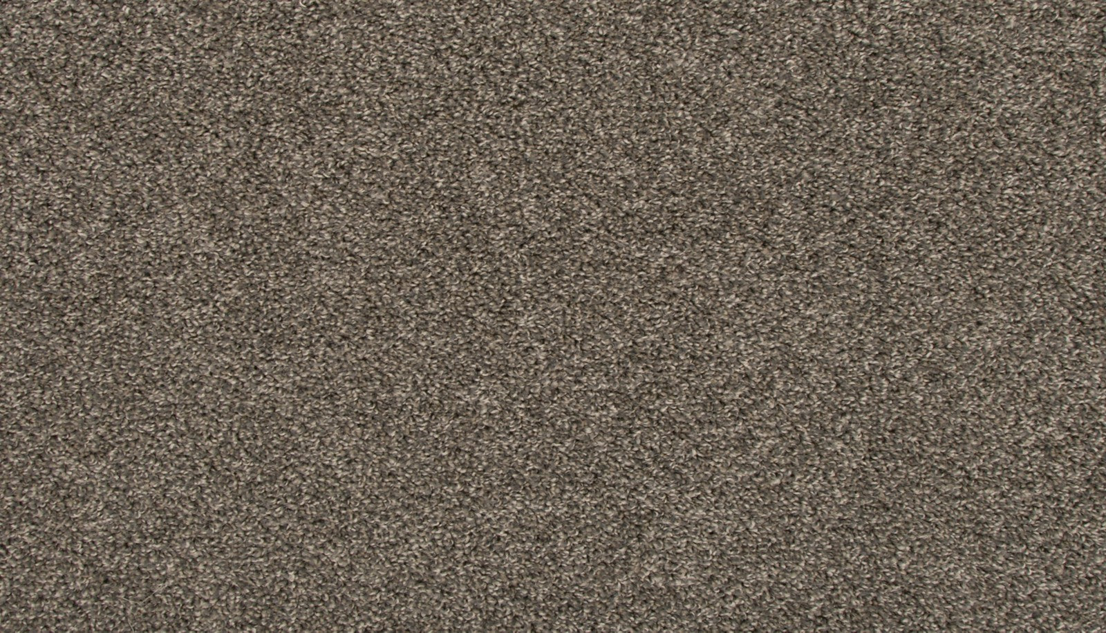 Mohawk Revive in Steelbeam, Carpet product detail