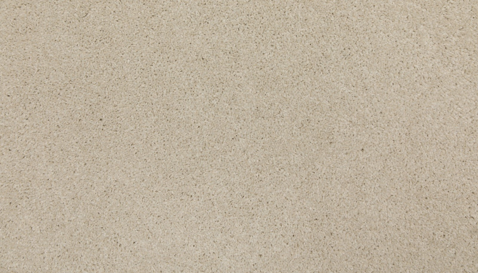 Mohawk Up The Ante in Antique White, Carpet product detail