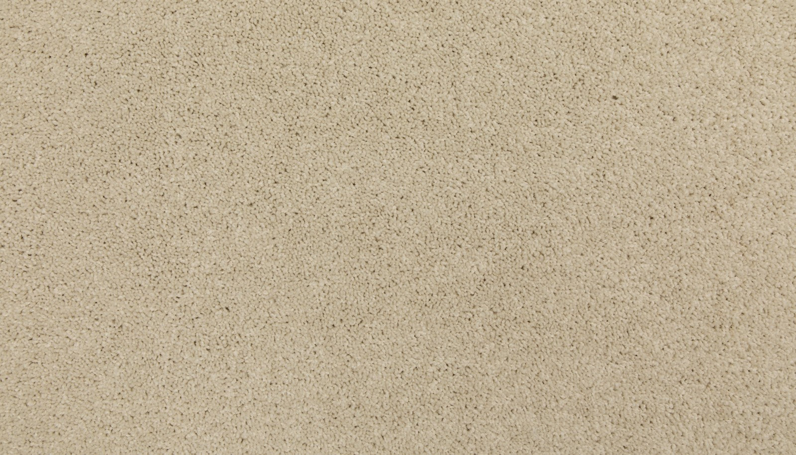 Mohawk Up The Ante in Bare Essence, Carpet product detail