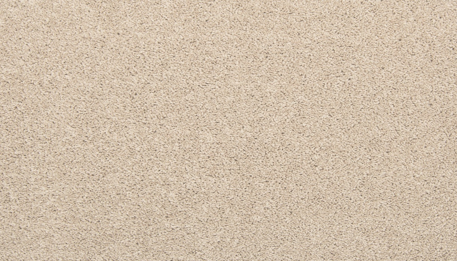 Mohawk Tectonic in Sugar Cookie, Carpet product detail