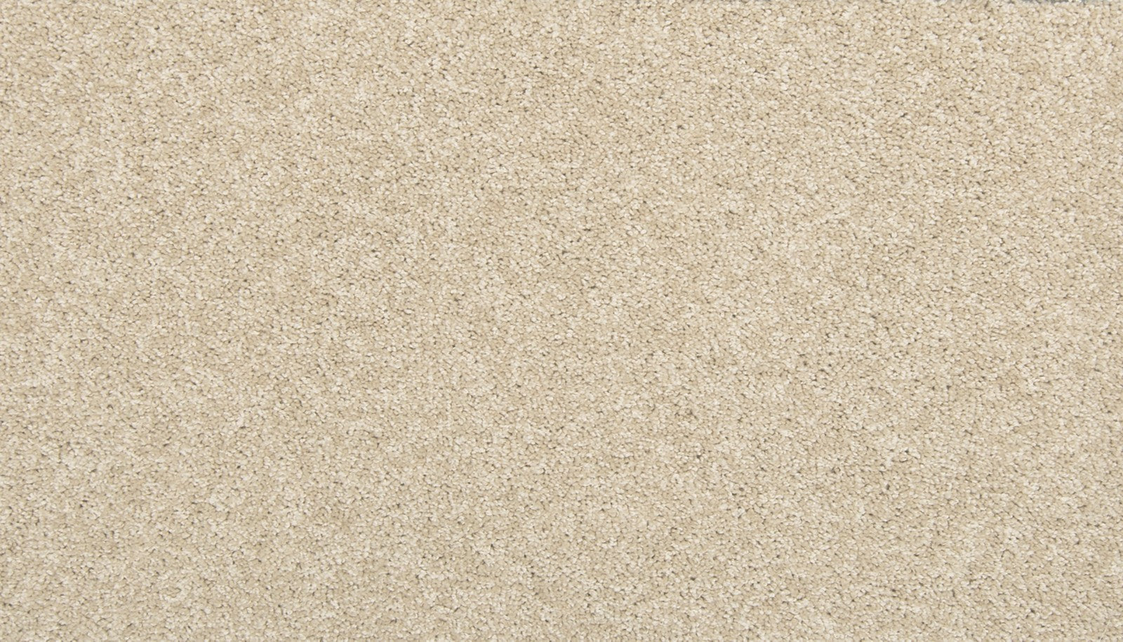 Mohawk Tectonic in Bleached Almond, Carpet product detail