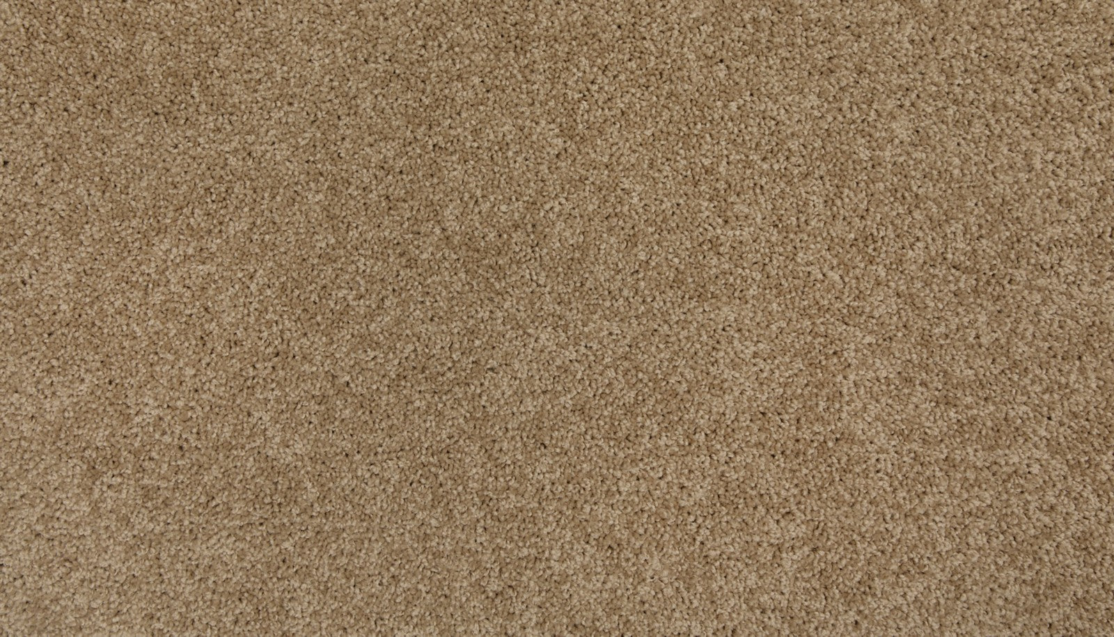 Mohawk Up The Ante in Beachcomber, Carpet product detail