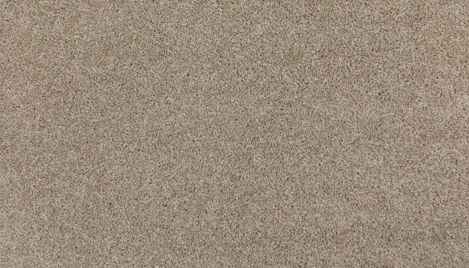 Mohawk Up The Ante in Island Taupe, Carpet product detail