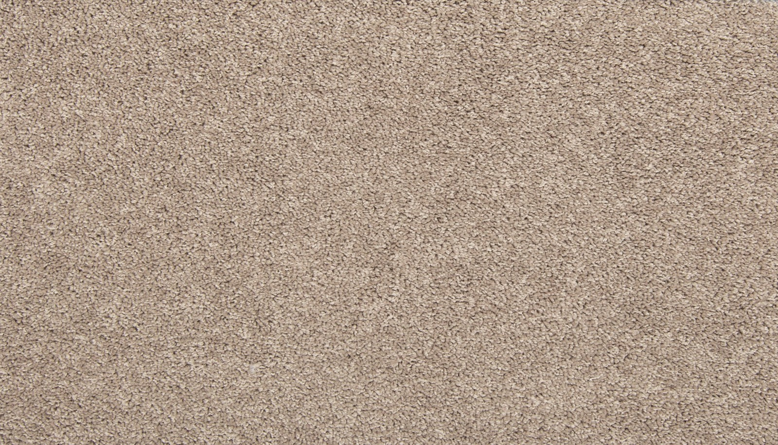 Mohawk Tectonic in Havana, Carpet product detail