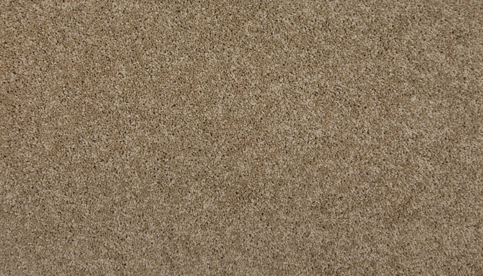 Mohawk Up The Ante in Safari Tan, Carpet product detail