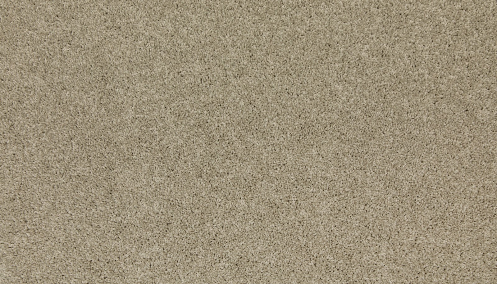 Mohawk Up The Ante in Tradewinds, Carpet product detail
