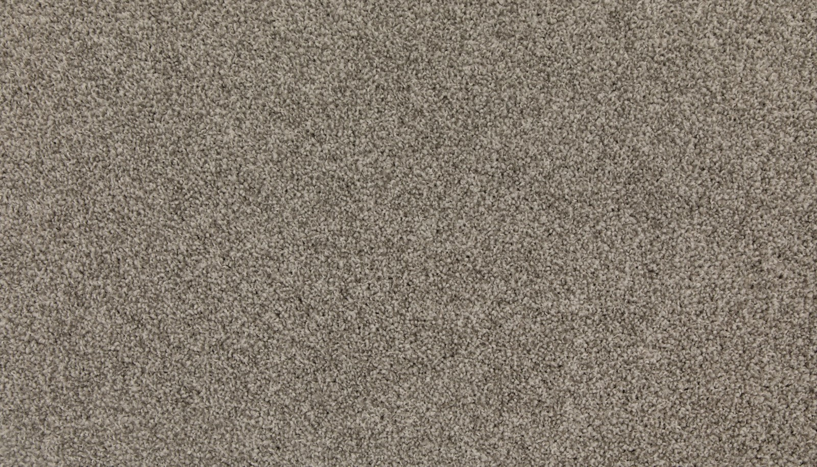Mohawk Up The Ante in Cumulus, Carpet product detail
