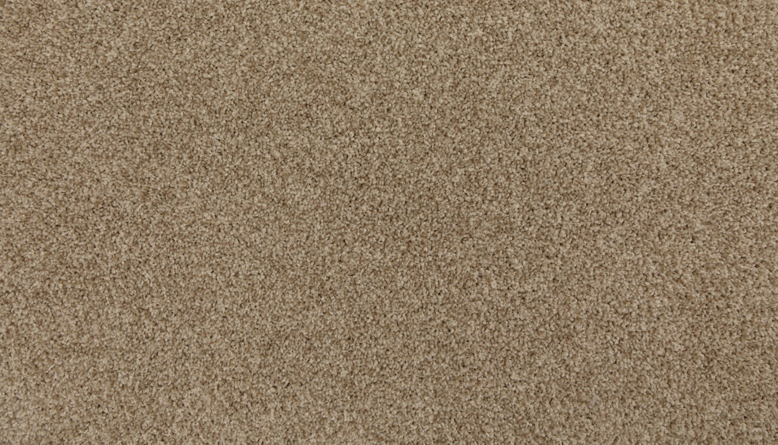 Mohawk Up The Ante in New Wheat, Carpet product detail