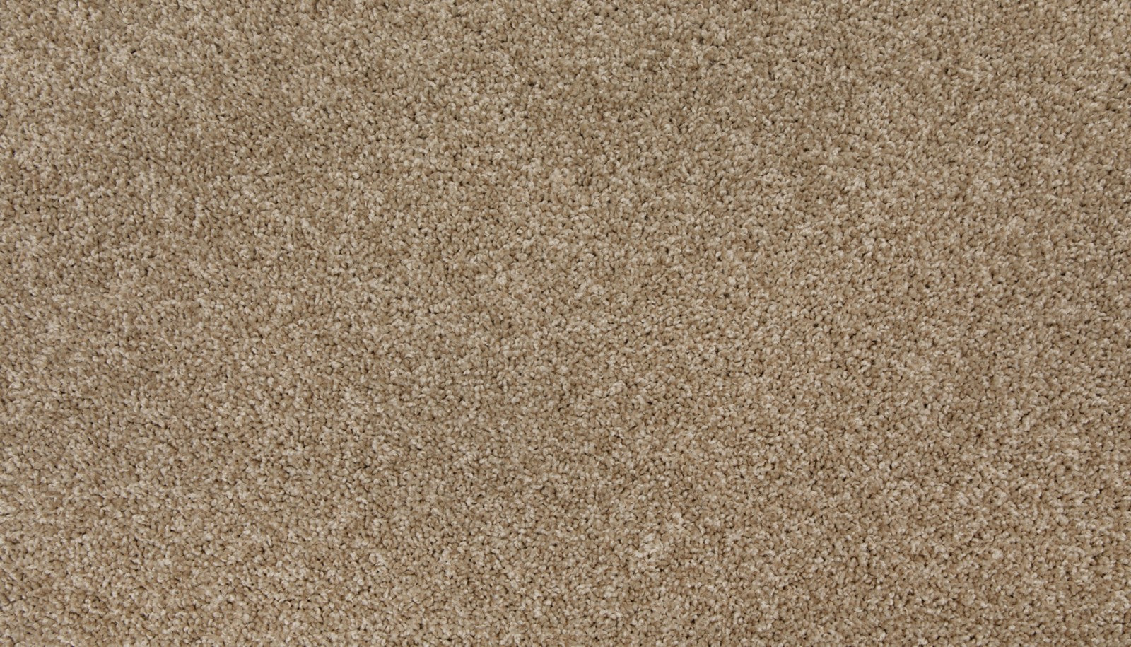Mohawk Up The Ante in Sandy Cove, Carpet product detail