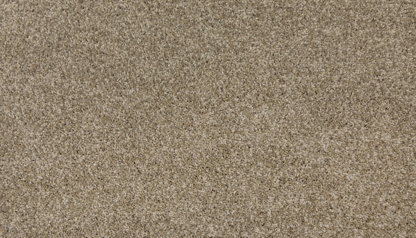 Mohawk Up The Ante in Grovewood, Carpet product detail