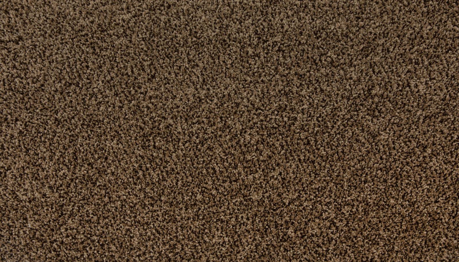 Mohawk Up The Ante in Mocha Brown, Carpet product detail