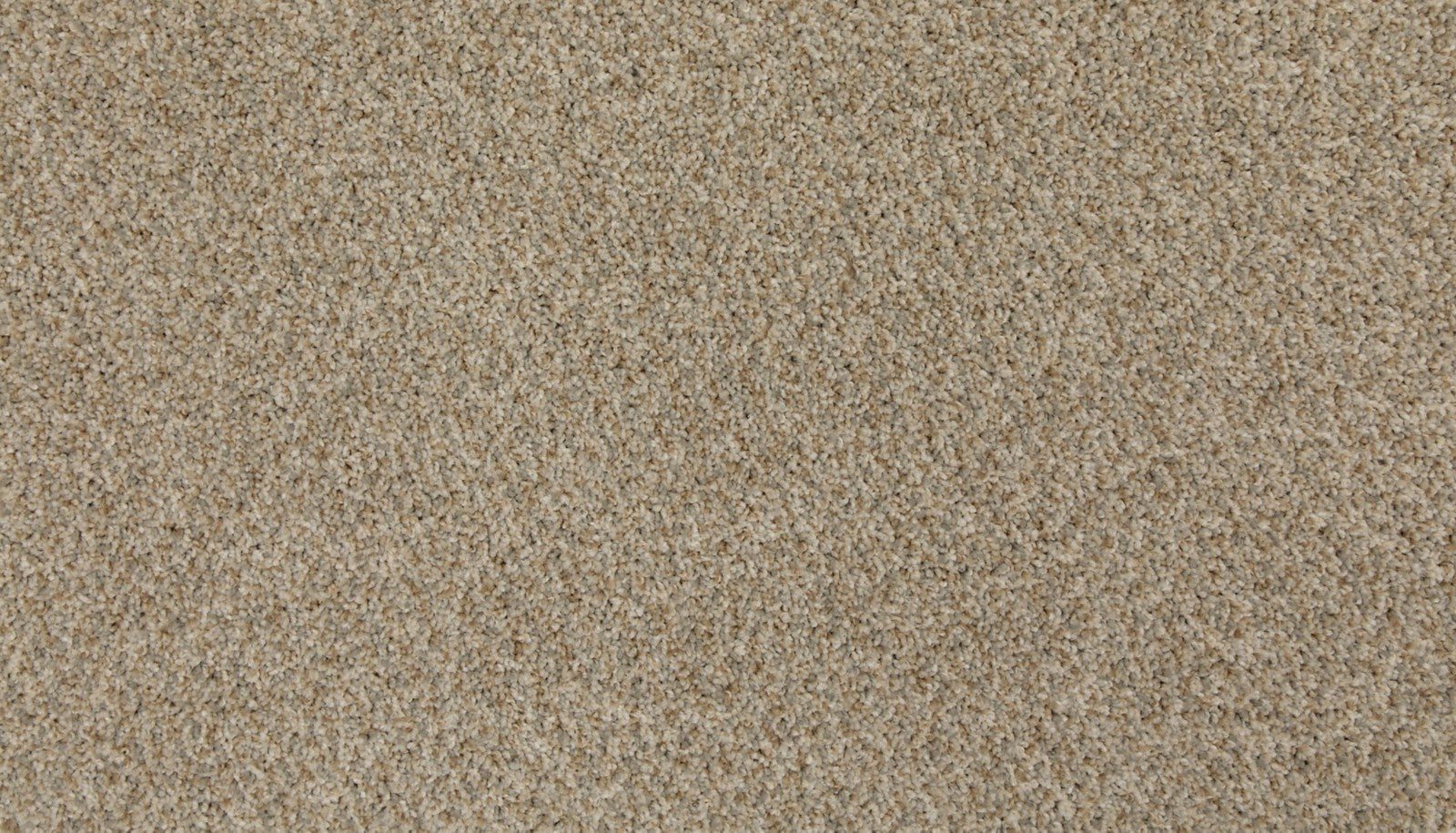 Mohawk Up The Ante in Stonework, Carpet product detail